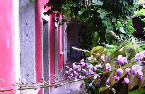 Miasino House | flat 'Glicine' with water view