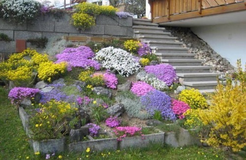 Freidorf House | Flat in Freidorf with large garden