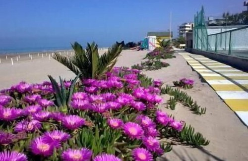 Torrette Apartment | Flat 'Mare Blu 3' near the beach