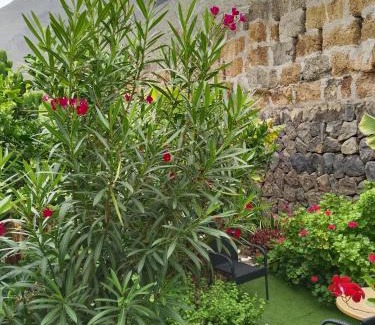 Garachico Ski Chalet | FLOR de PLATANERO