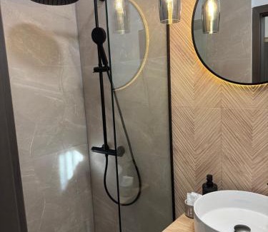 Center Apartment | Flowers House Sibiu