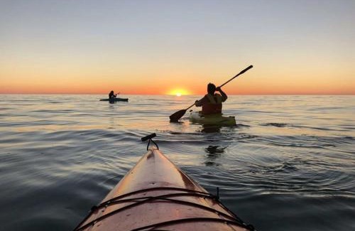 Acme House | FORE! Tee Time Retreat @ GT Resort