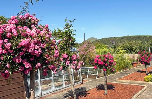 Ballantrae Cottage | Foreland Cottage - UK50037