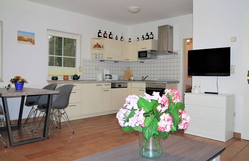 Ostseebad Prerow Apartment | Forest and beach near apartment with terrace, pets allowed