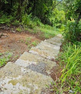 Santa Maria Other | Forest Cabin