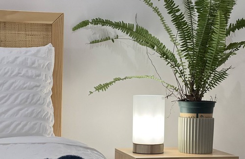 Mount Pleasant Cabin | Forest Cottage- Close to City Centre and Beaches