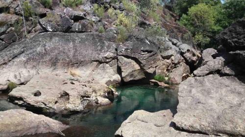 Covas House | Forest House casinha do Carvalhal