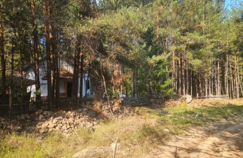 Berovo Villa | Forest villa Atlantic