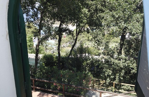 Forio Villa | Forio D Ischia: House/Villa - Forio d'Ischia