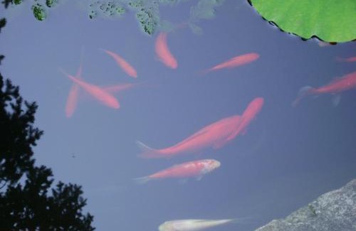 Girard Bed & Breakfast | Four Creeks Bed&Breakfast