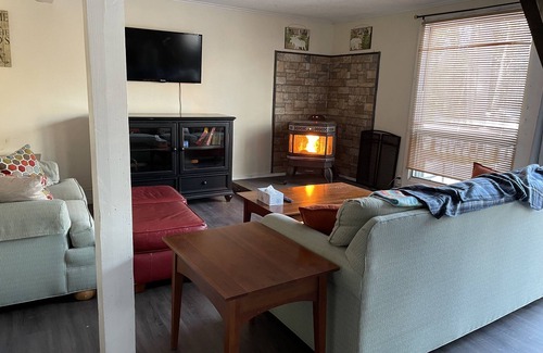 Eidelweiss Village Cabin | Four Season Fun Family Cabin- near skiing, lakes & hikes