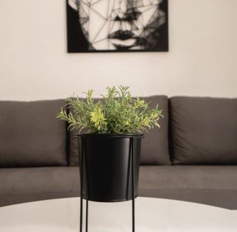 Gevgelija Apartment | Fox Apartment