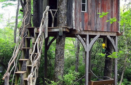 Lake Toxaway Cabin | Fox Hole Cabin - Romantic Bungalow - Hike to Dozens of Waterfalls