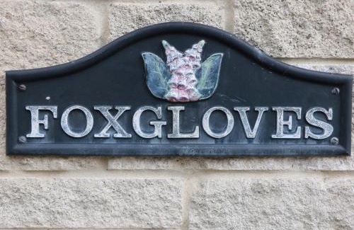 Castleton House | Foxgloves