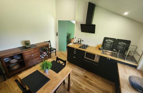 Beaujeu-Saint-Vallier-Pierrejux-et-Quitteur Apartment | La Couleuvre