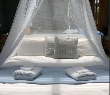 Adventure Bay House | Francis Lane Tiny Studio