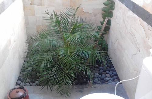 Seraya House | Frangipani Inn & Restaurant