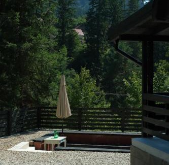 Baile Tusnad Villa | Frank86