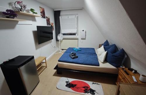 Hallstadt House | Franken Zimmer