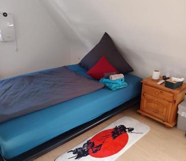Hallstadt House | Franken Zimmer