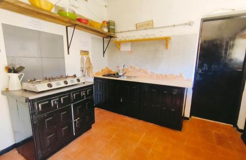 Tegueste Other | Free Canari - Los Alamos 8