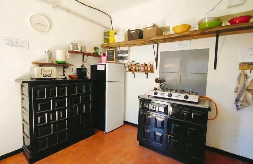 Tegueste Other | Free Canari - Los Alamos 8