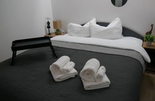 Historic Center Apartment | Free Garage in the Center-Delicia 4 ApartHotel