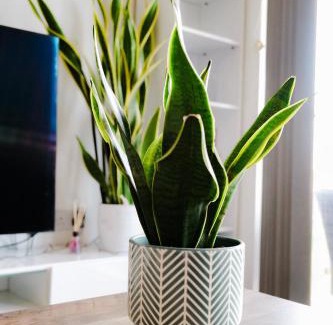 Bristol Apartment | Free Parking 2-Bed Apartment King Bed & City