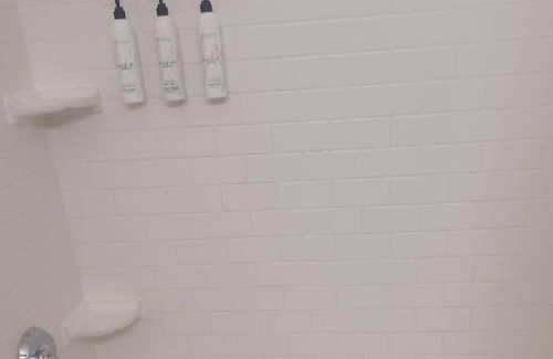 Springfield Hotel | Freedom Inn & Suites