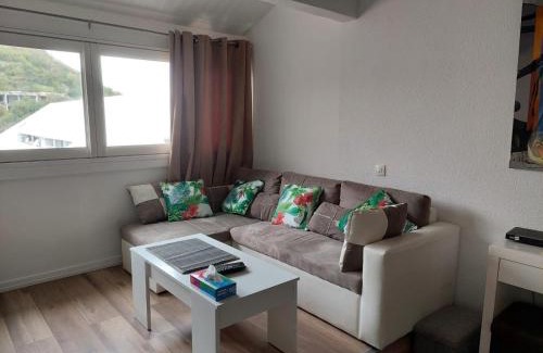 Marigot Apartment | Fresh Cool Love