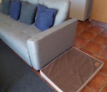 Tazacorte Apartment | Frodo Haus