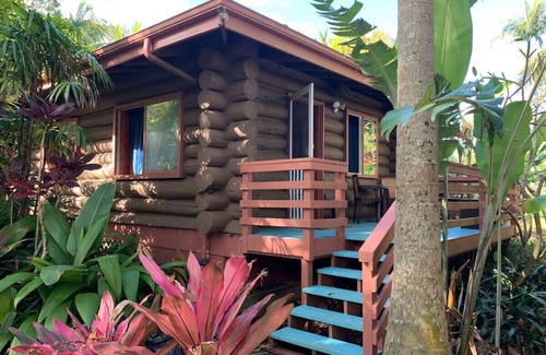 Kukuihaele Cabin | FROG POND Cozy, streamside family cabin for 3 - 4