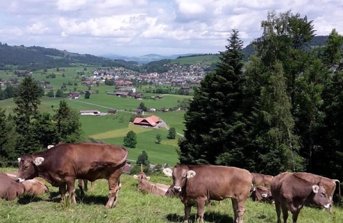 Unterageri Other | Fruehalp