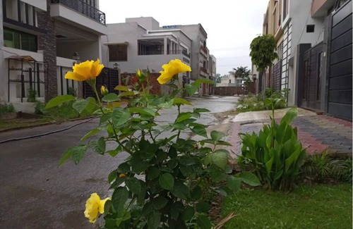 Gujrat House | Full furnished & Luxury Entire Double Story House