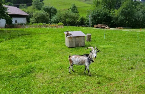 Rettenberg Apartment | Fully equipped 94sqm apartment with fantastic mountain panorama of the Grünten