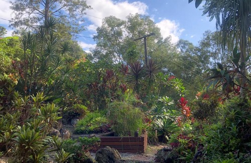 Uki House | Fun Times