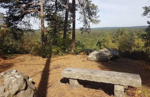 Fontainebleau Apartment | Furnished studio, quiet & Cosy, hyper center 5 mn from the Castle