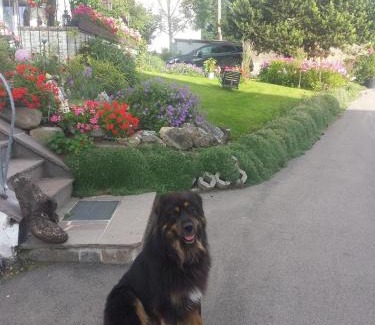 Sulzberg Apartment | Gästehaus Kling