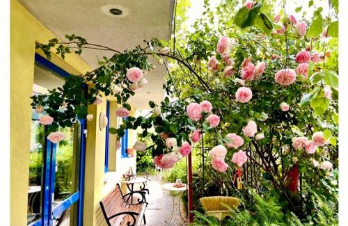 Favoriten Bed & Breakfast | Gästezimmer Puzwidu