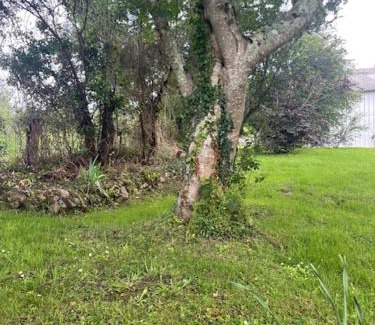L'Etang-Bertrand House | Gîte à la campagne