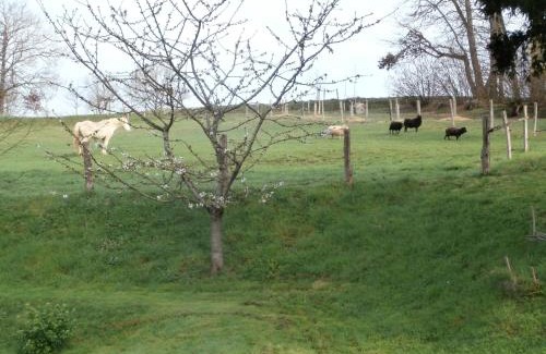 La Fleche Bed & Breakfast | Gîte Bois Gaillard