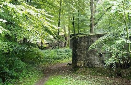 Burnhaupt-le-Bas Apartment | Gîte cosy pour 2 à 4 personnes, village proche Mulhouse