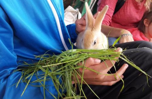 Saint-Julien-la-Vetre House | Gîte de campagne avec terrasse et jardin, animaux acceptés - FR-1-496-290