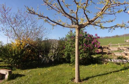 Neulise House | Gîte de charme à Neulise, animaux acceptés, parking, internet - FR-1-496-376