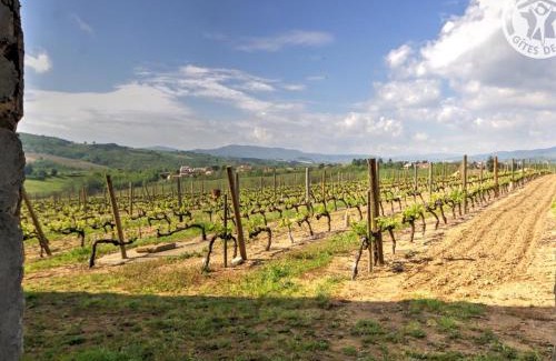 Malleval Apartment | Gîte de charme au cœur des vignes avec piscine partagée - FR-1-496-116