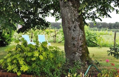 Paulmy House | Gîte de charme en Touraine avec jardin et Wifi - FR-1-381-321