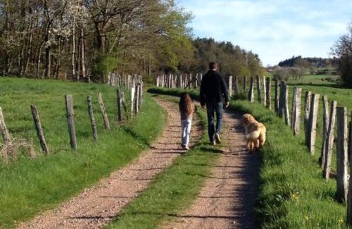 Belmont-de-la-Loire House | Gîte de charme avec cheminée, animaux acceptés - FR-1-496-32