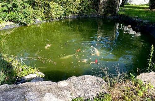 Amilly House | Gîte du canal rue de la Tuilerie