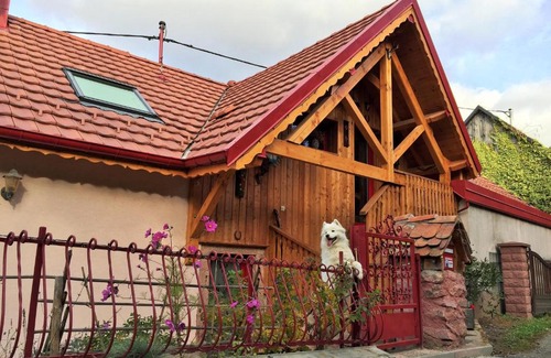 Lautenbach House | Gîte du Durrenbach