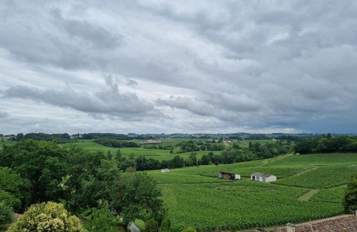 Puisseguin House | Gîte du vignoble